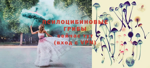 соль ск Вяземский
