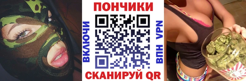 Бошки Шишки ГИДРОПОН  мега tor  Ермолино  купить  